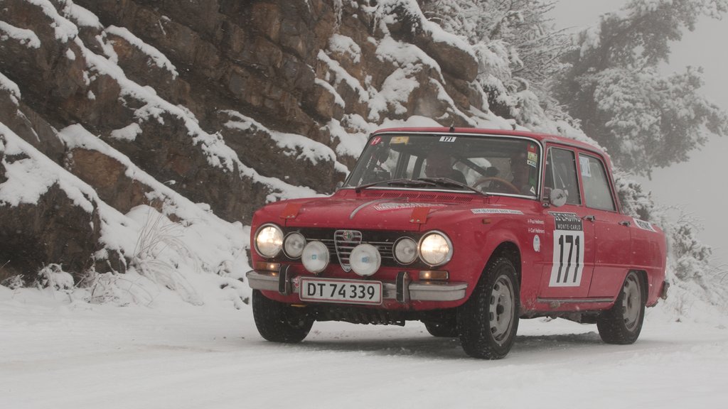 Start nr. 171, Poul Hellmers og Carl Hellmers
(Foto: Viggo Johansen, rallypics.dk)